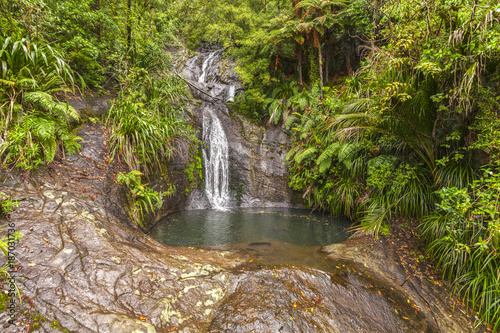 Fairy Falls  Waitakere Ranges  New Zealand