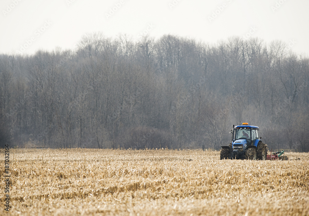 Fototapeta premium Farming