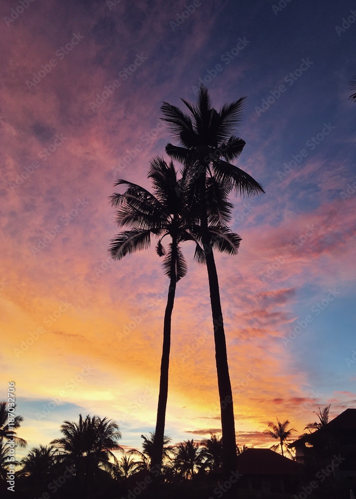 Tropical Sunset Sky Tropical Sunset Sky
