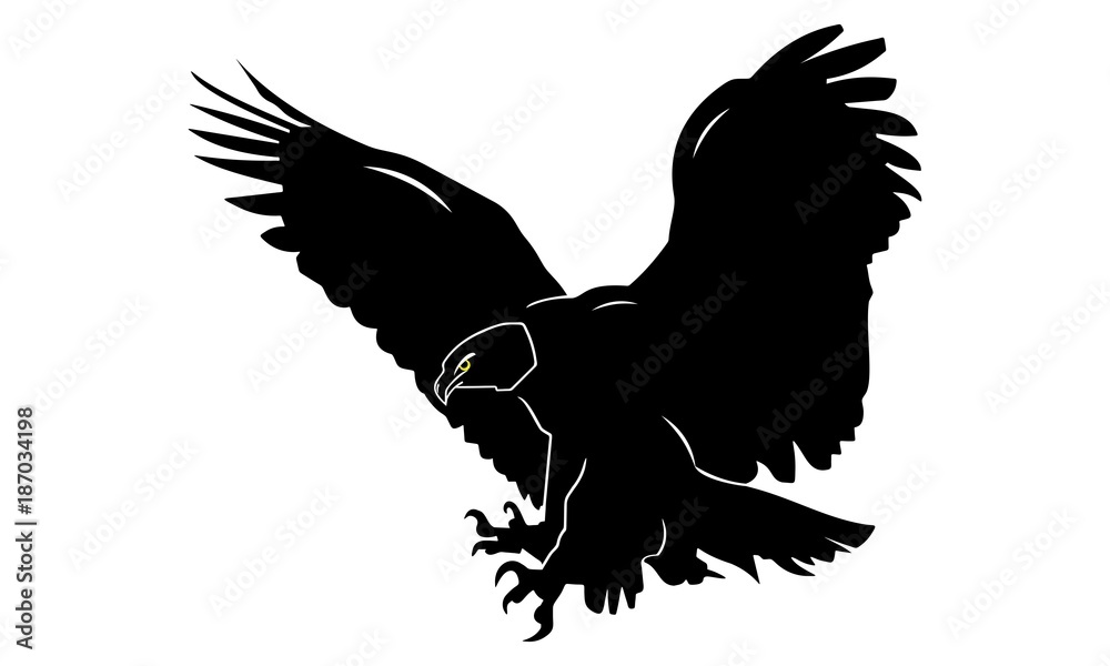 Obraz premium the eagle's silhouette landed