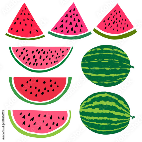 Vector cartoon watermelon fruit illustration. Slice and whole