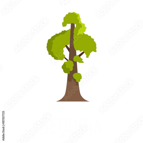 Sequoia icon. Flat illustration of sequoia vector icon isolated on white background