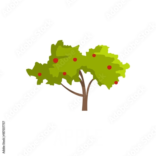 Apple tree icon. Flat illustration of apple tree vector icon isolated on white background photo