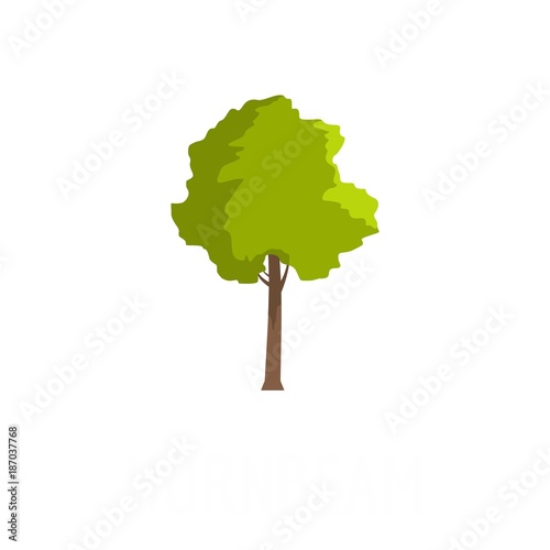 Hornbeam tree icon. Flat illustration of hornbeam tree vector icon isolated on white background