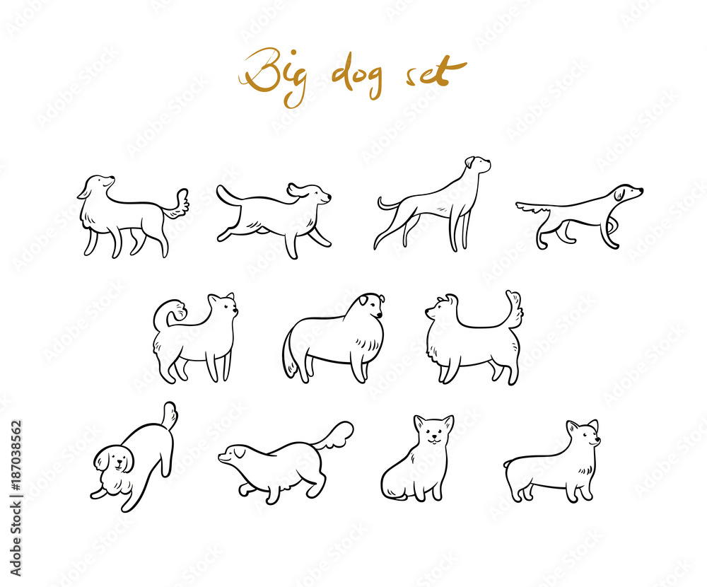 Set of vector outline dogs. Cartoon style.