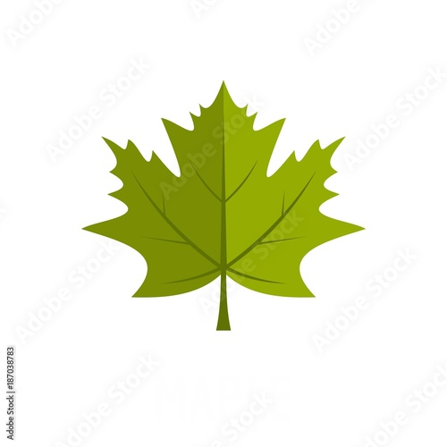 Maple leaf icon. Flat illustration of maple leaf vector icon isolated on white background
