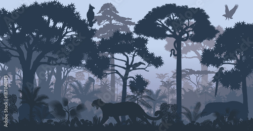 Vector evening tropical rainforest Jungle background with jaguar, harpy, monkey, parrot, toucan, anaconda and boar