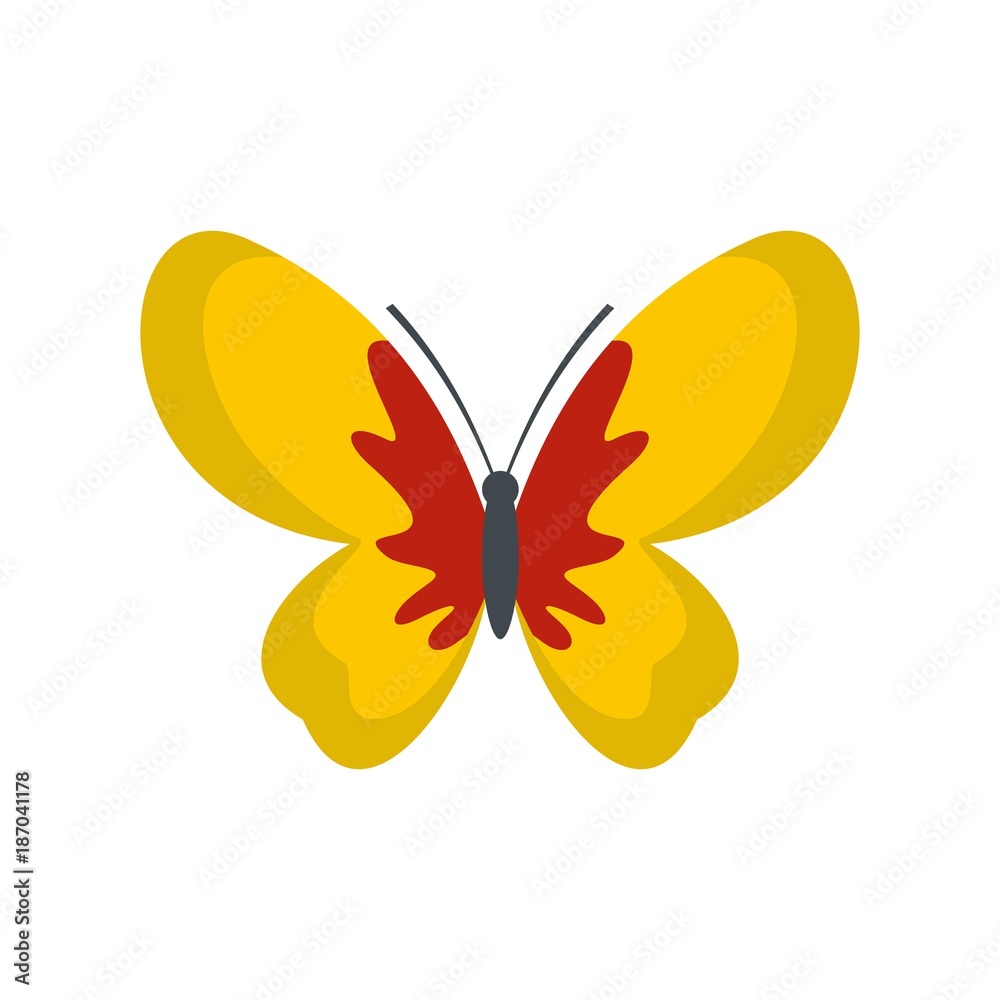 Beautiful butterfly icon. Flat illustration of beautiful butterfly vector icon isolated on white background