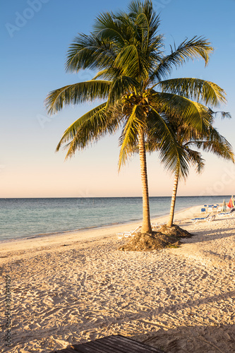 Palm trees on the beach of a tropical island in Cuba (Cajo Jutias) photo