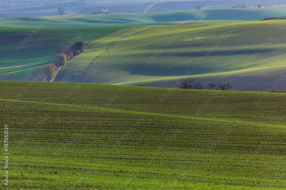 Green hills of Moravia