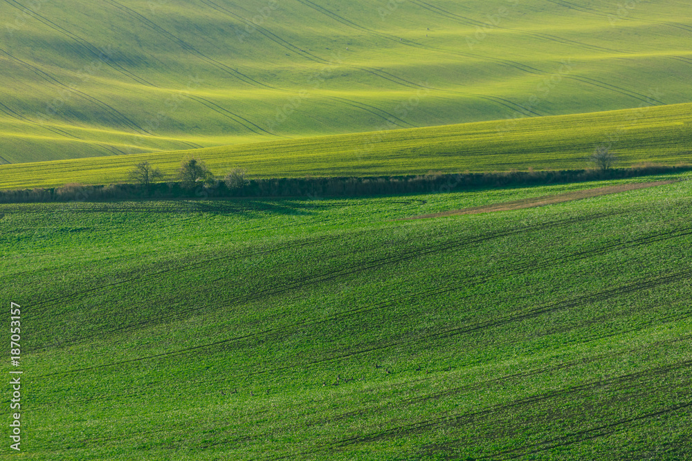 Green hills of Moravia