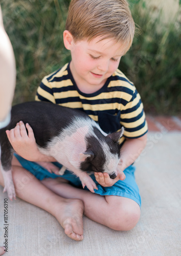 Small Piglet Being Held in By a Child