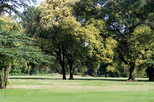 Fototapeta Naklejka Na Ścianę i Meble -   Green grass at a beautiful golf course