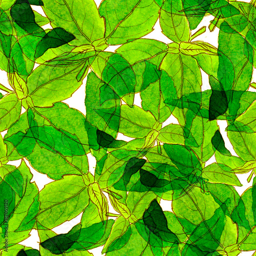 Basil Leafs Seamless Pattern. Repeatably Hand Drawn Background with Spice Herb and Basil. photo