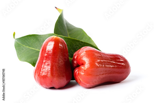 Red rose apple fruit with white background