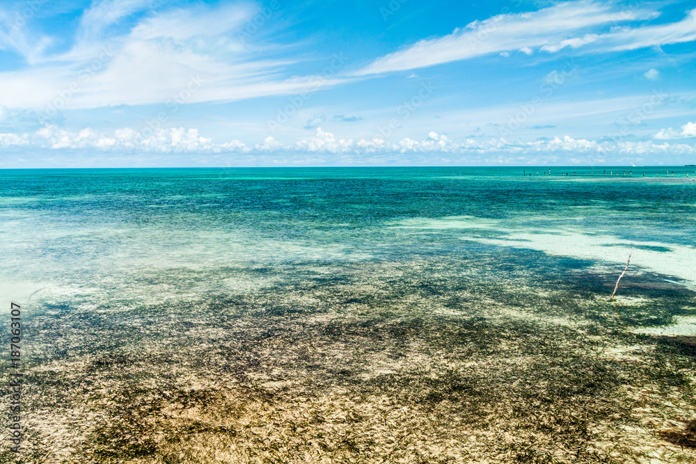 Shallow sea near Caye Caulker island, Belize
