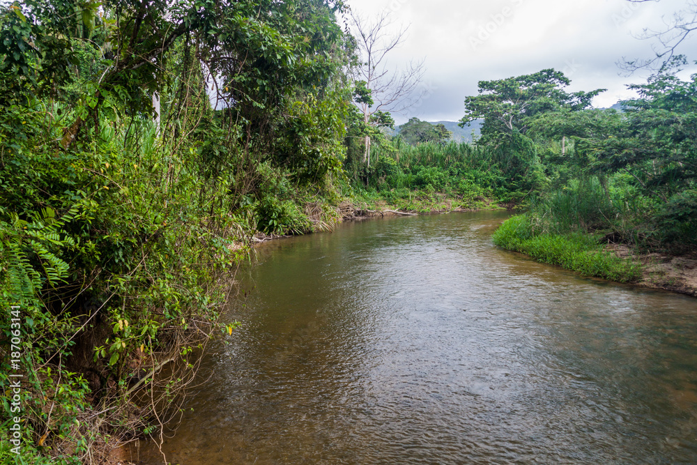 South Stann Creek in Cockscomb Basin Wildlife Sanctuary, Belize.