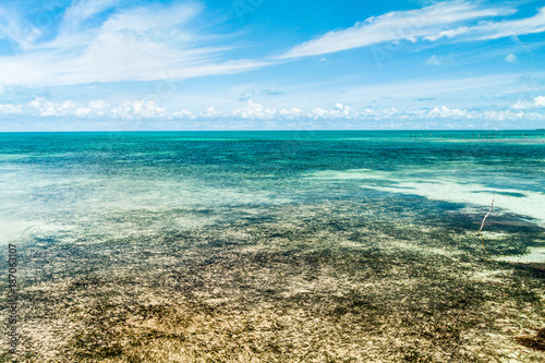 Shallow sea near Caye Caulker island, Belize