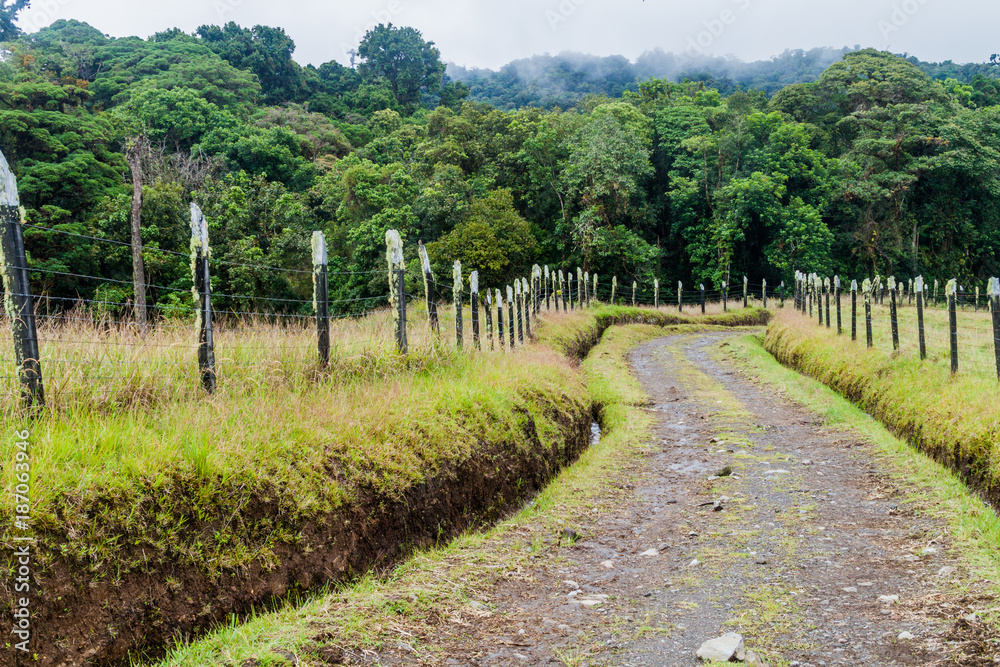 Small mountain road between pastures near Boquete, Panama.