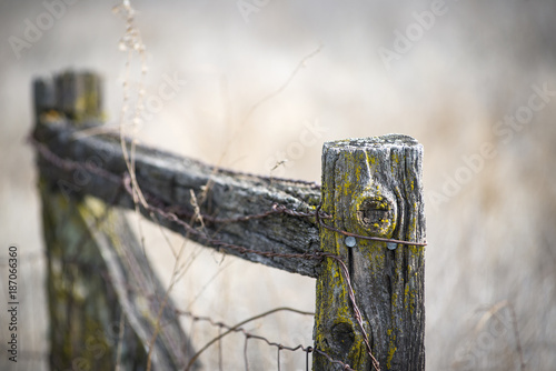 Old weathered fence post