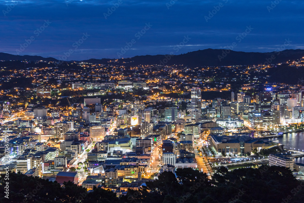 Wellington New Zealand City At Night 