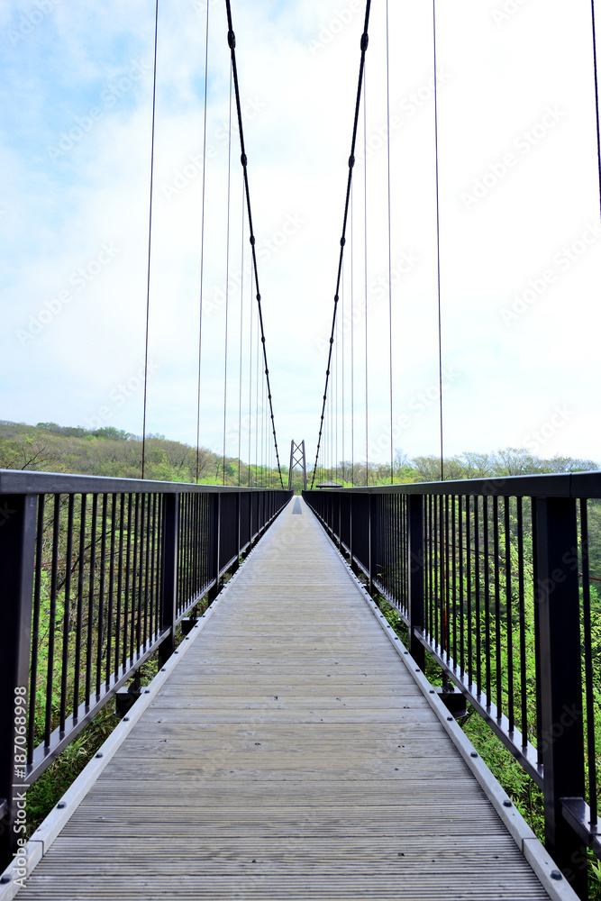 新緑の渓谷にかかる大吊橋（縦）