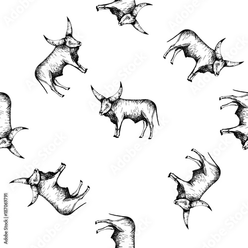 Seamless pattern of hand drawn sketch style Watusi cattle. Vector illustration isolated on white background.