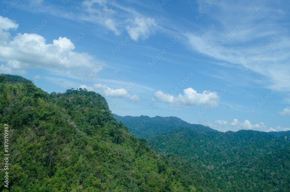 lansscape forest in thailand lansscape forest in thailand