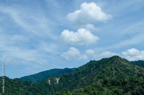 lansscape forest in thailand