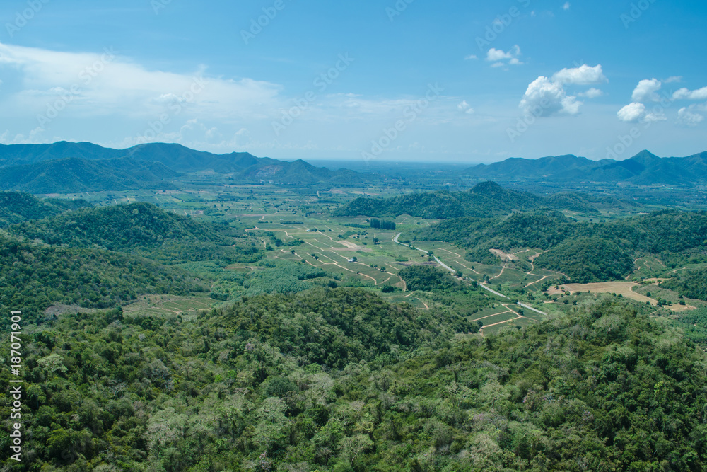 lansscape forest in thailand