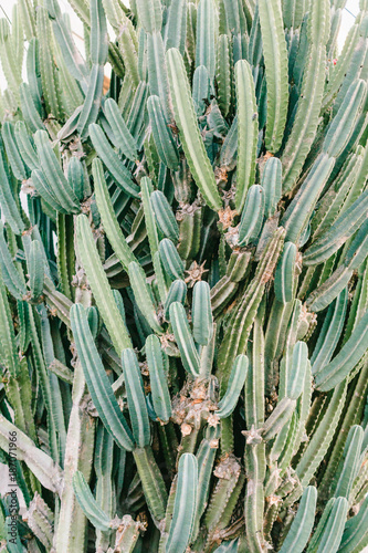 DESERT 1
