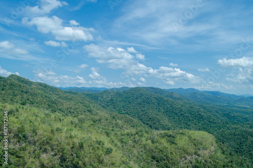 lansscape forest in thailand