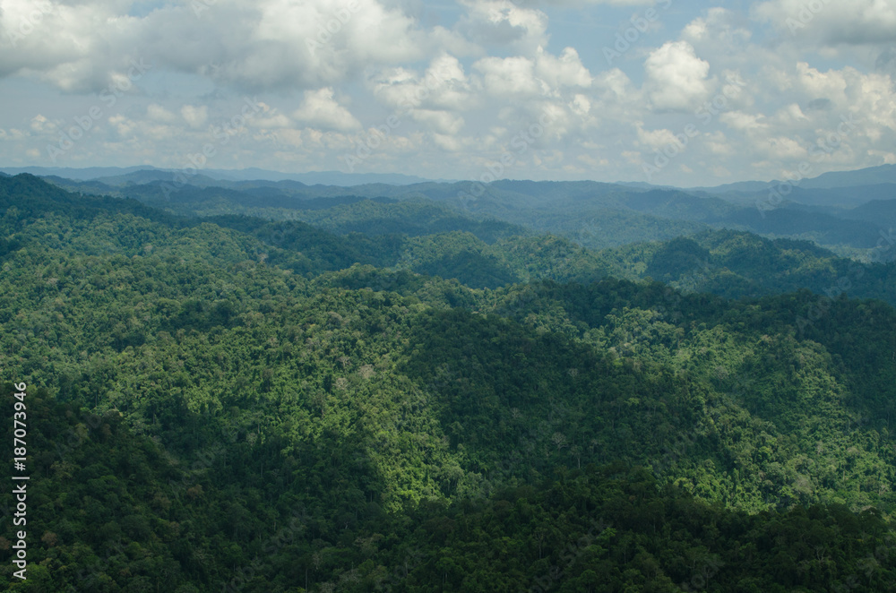 lansscape forest in thailand lansscape forest in thailand