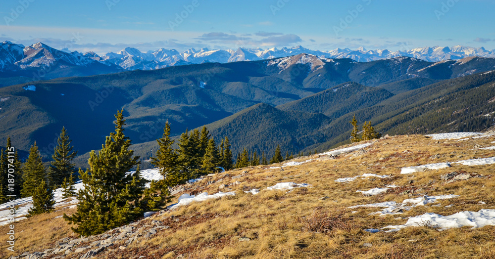 Fototapeta premium View from Prairie Mountain, Alberta