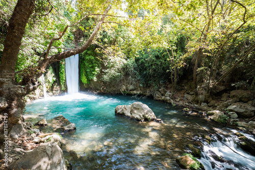 Canvas-taulu Visiting Banias Nature Reserve in Northern Israel