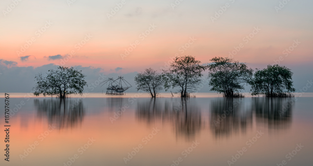 Fototapeta premium Trees in the lake with beautiful morning light at Pakpra.