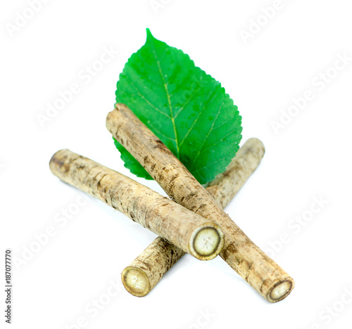 Burdock roots isolated white background