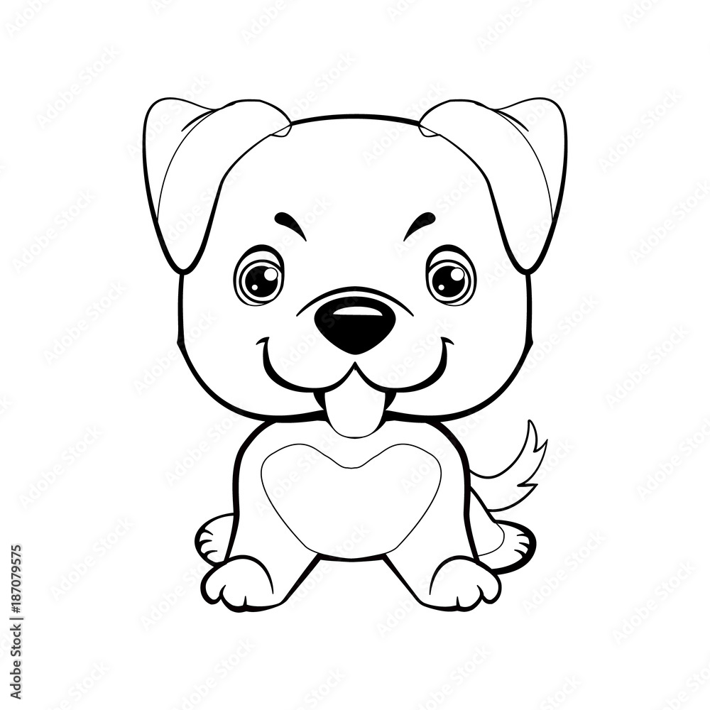 American pitbull terrier on a white background. American pitbull terrier on a white background.