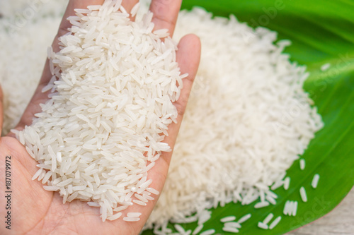 man hand holding rice on green leaf top view background with copy space 