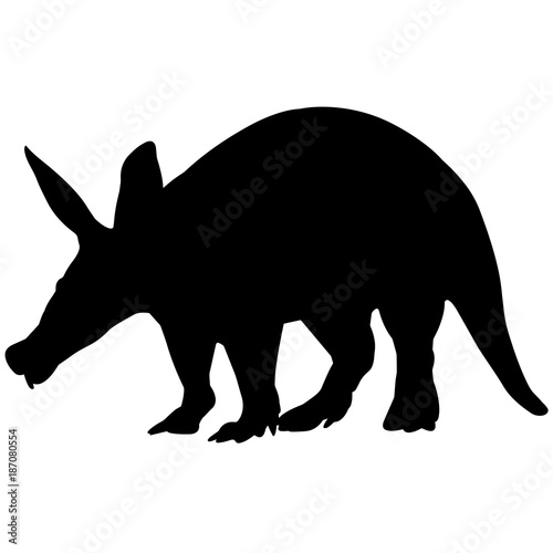 Aardvark
