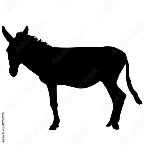 Ass