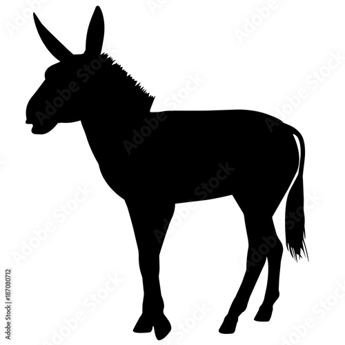 Ass
