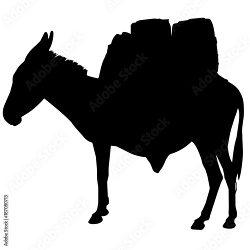 Ass