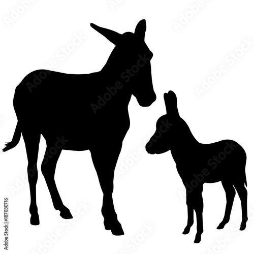 Ass