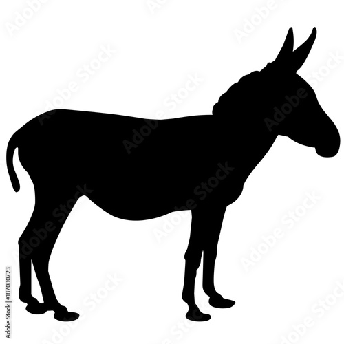 Ass