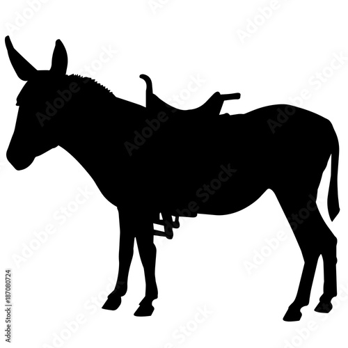 Ass