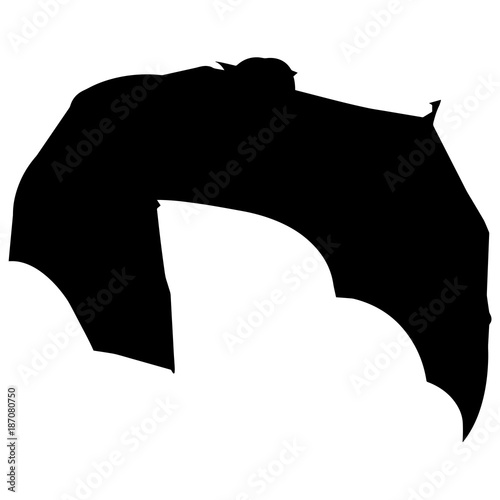 Bat