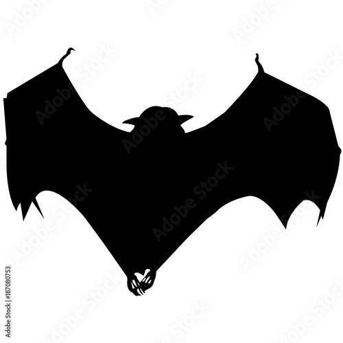 Bat