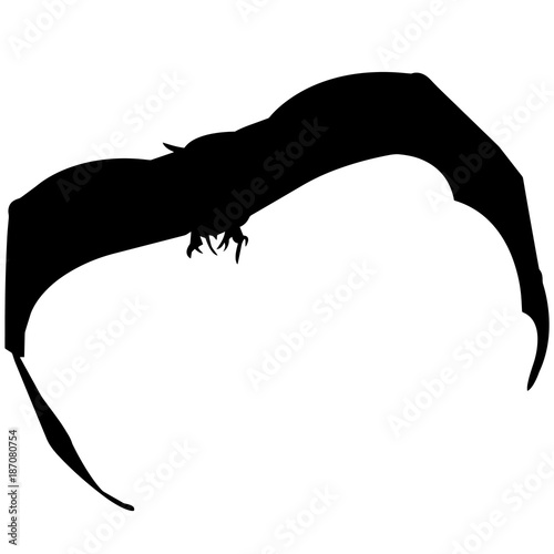 Bat