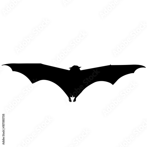 Bat